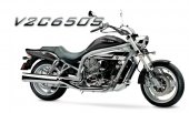 2010 UM V2C 650S photo